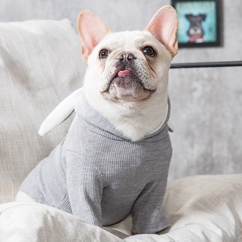 Pet Clothes Spring And Autumn Clothing