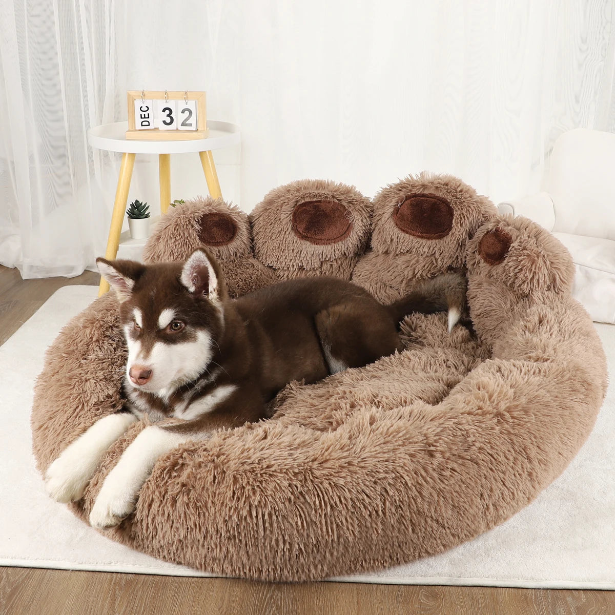 Pet Sofa Bed