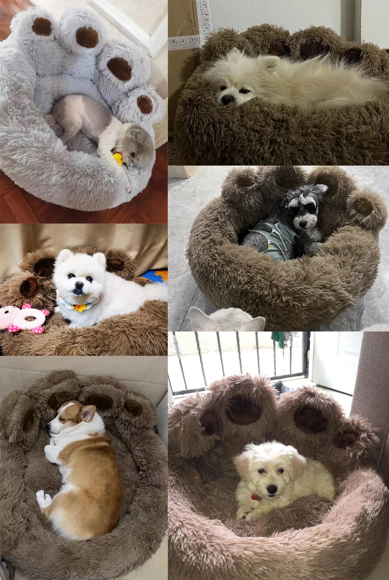 Pet Sofa Bed